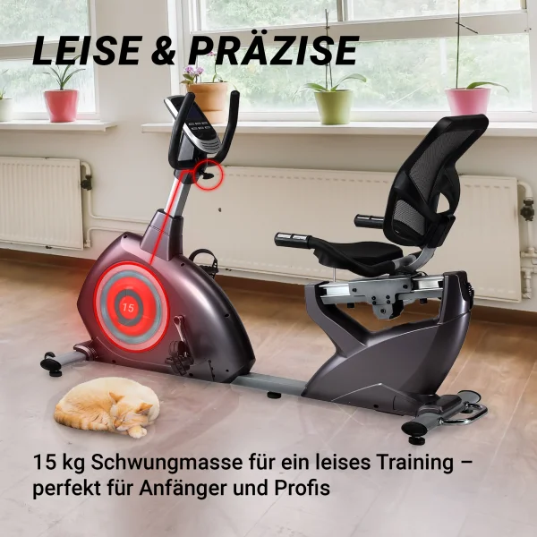 BODYCOACH Sitz-Liege-Ergometer Heimtrainer magnetisch Computer mit Bluetooth