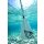 Aqua Marina Solid Paddle Fiberglas 3 teilig Stand-Up Paddel verstellbar 180 - 220 cm